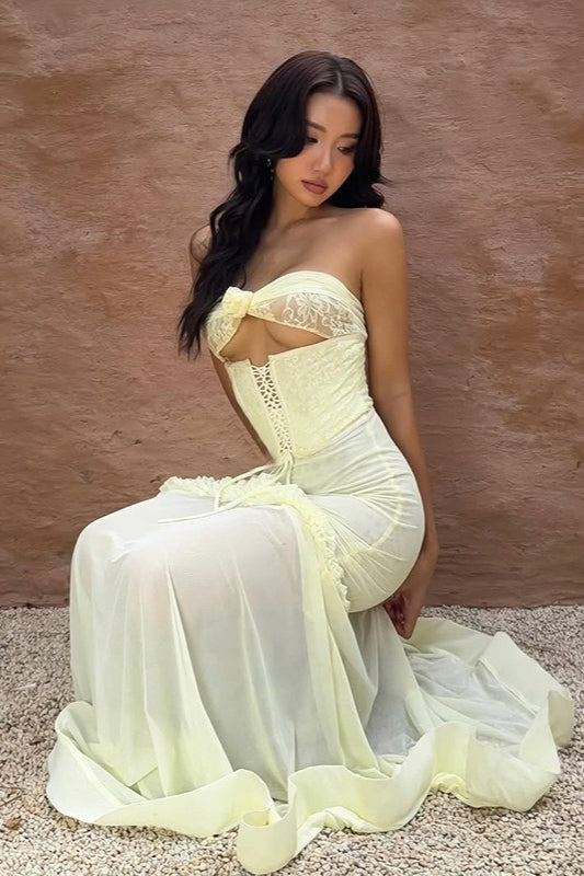 Gracefully Designed Dress