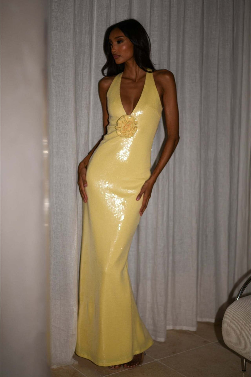 Classic Designed Dress