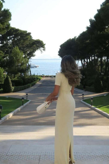 Classic Designed Dress