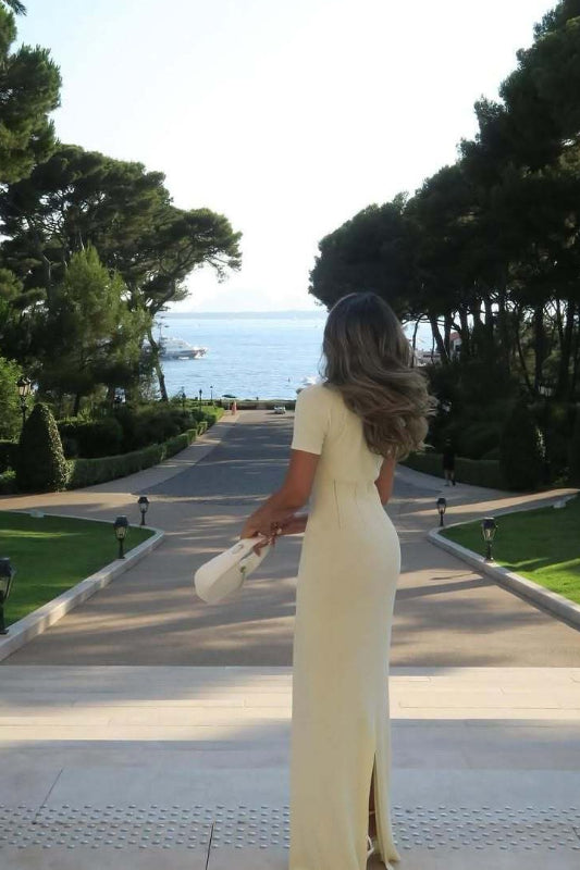 Classic Designed Dress
