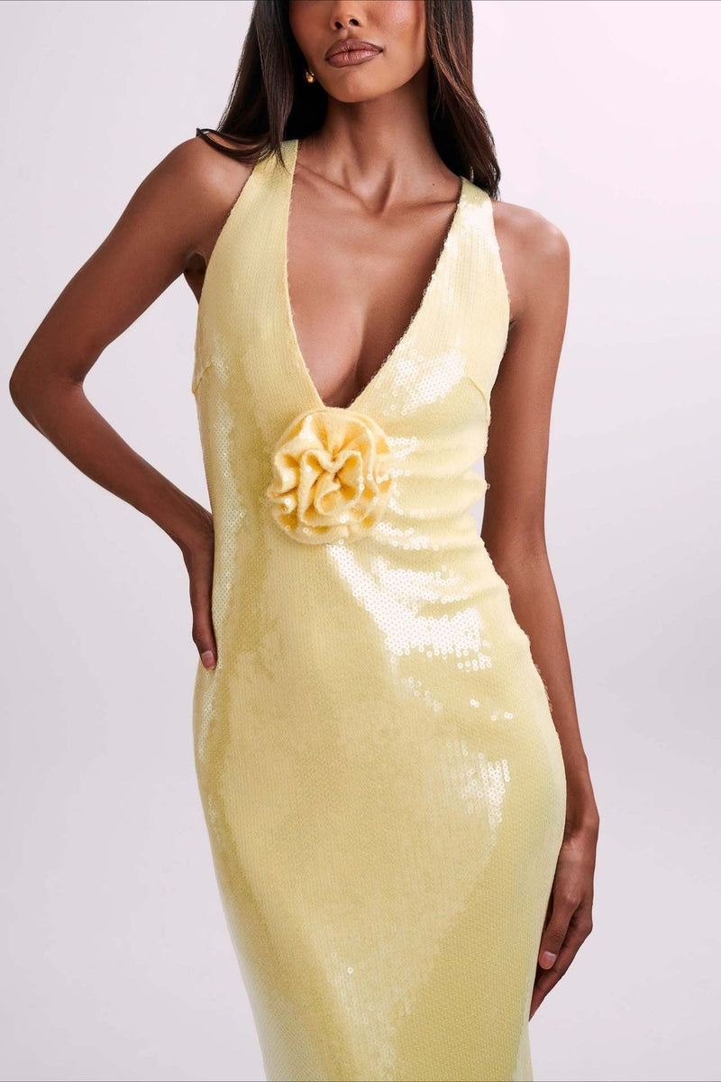 Classic Designed Dress