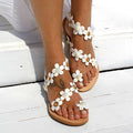 White Daisies