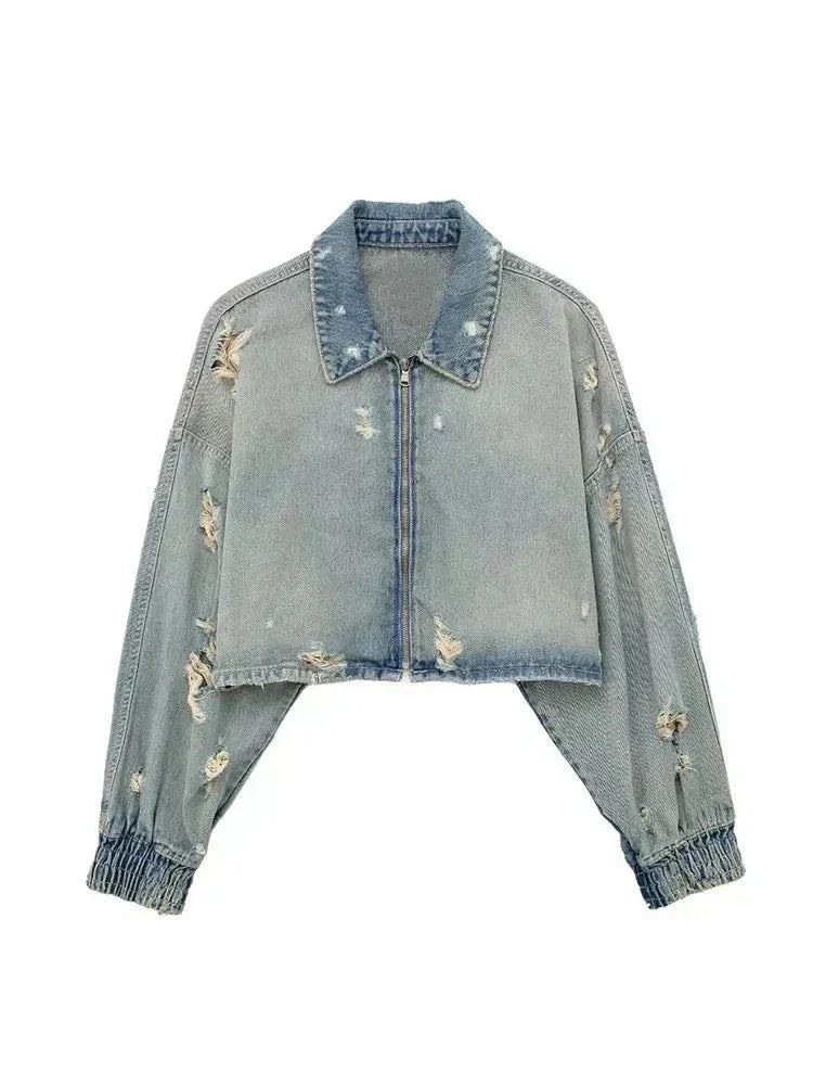 Elegantly Designed Jacket
