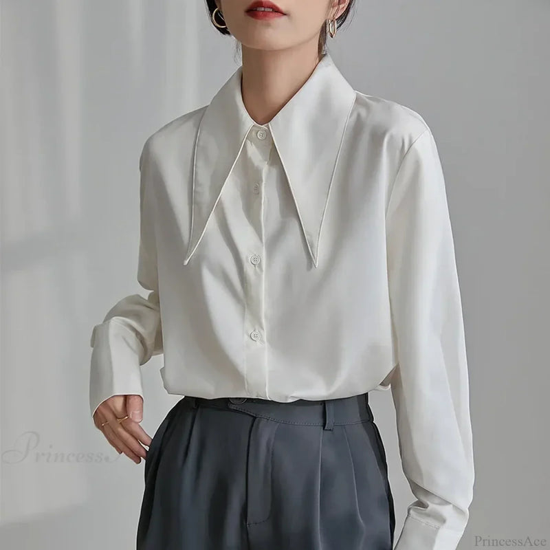Thoughtfully Designed Blouse