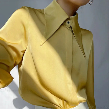 Thoughtfully Designed Blouse