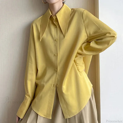 Thoughtfully Designed Blouse