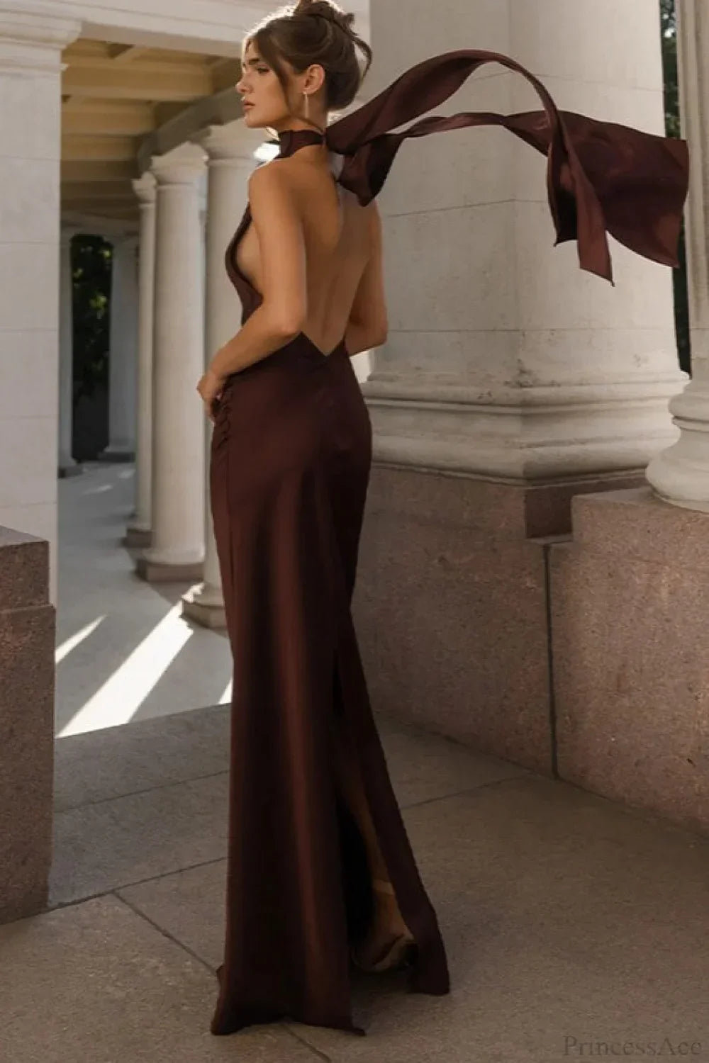 Classic Designed Dress